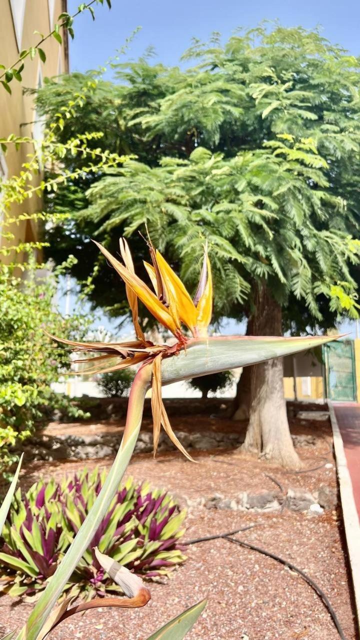 Cozy Two Bed Apartment. Costa Adeje  Luaran gambar