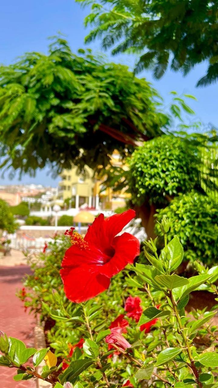 Cozy Two Bed Apartment. Costa Adeje  Luaran gambar